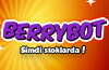 BerryBot (1)