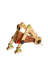 Kendin Yap Böcek Robot - D.I.Y 