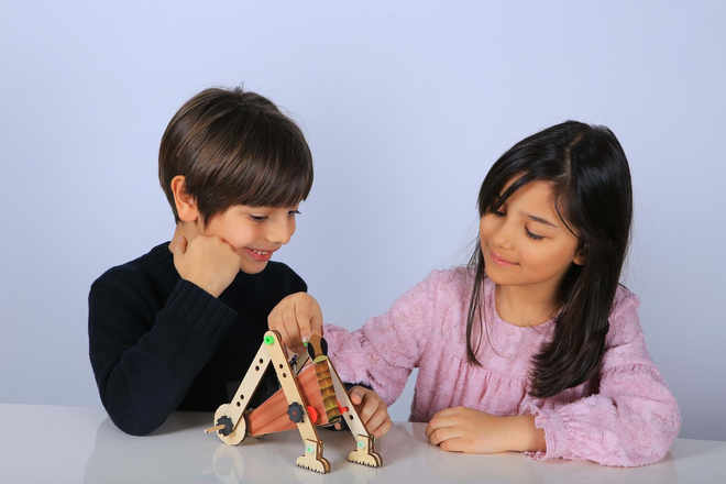 Kendin Yap Böcek Robot - D.I.Y - 2