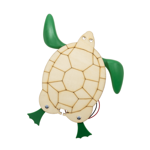 REX Woody Serisi DIY Caretta Caretta Seti (STEM) - 1