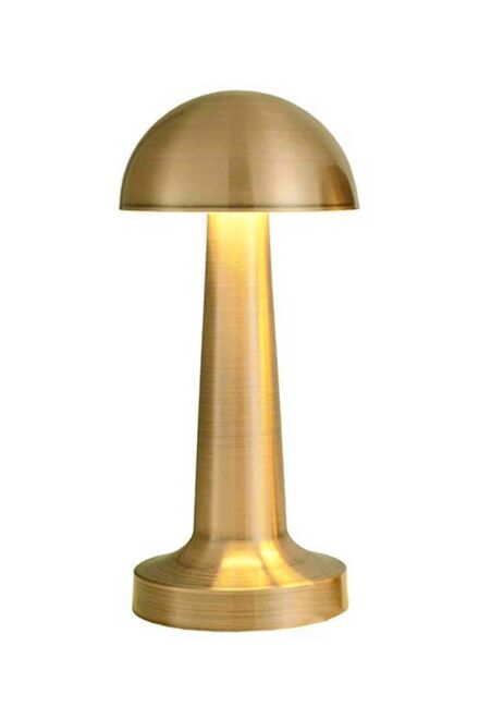 Forlife FL-8055 Mix Seyhan Şarjlı Led Masa Lambası - 1